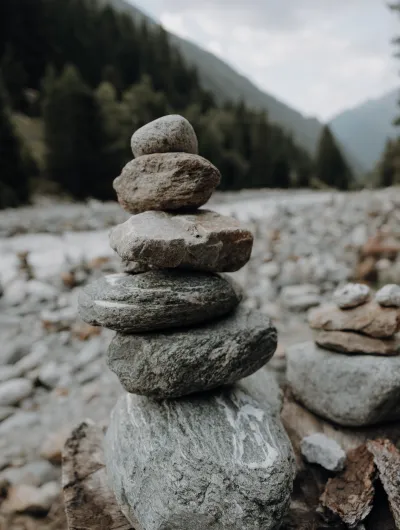 Meilensteine gemeinsam sind wir stark Viktor Frankl
