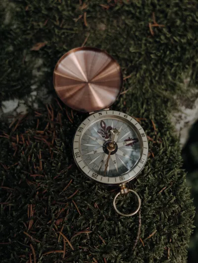 Kompass auf Moosbett