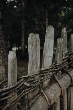 Holzzaun - Weide - Natur - Close up